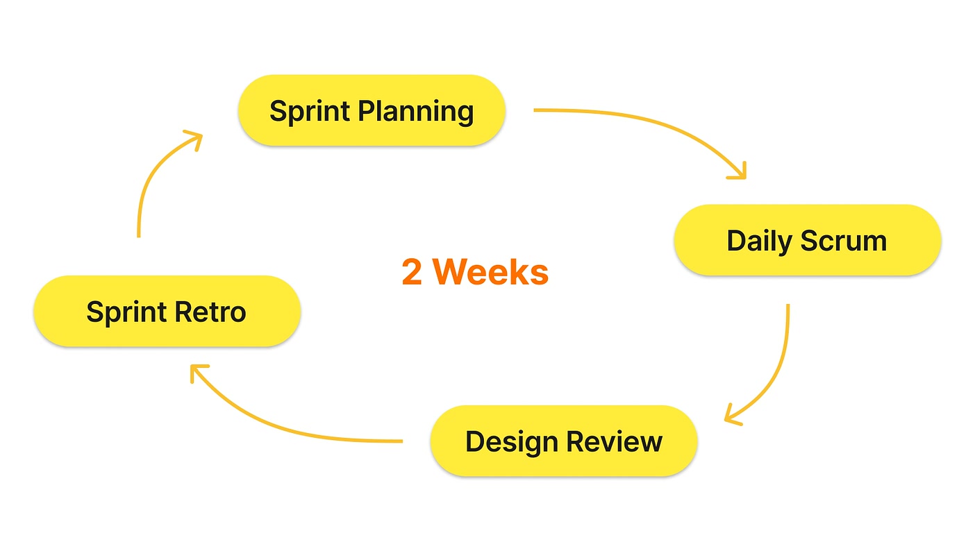 The two-week sprint cycle: planning, design reviews and scrum check-ins